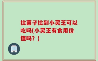 捡菌子捡到小灵芝可以吃吗(小灵芝有食用价值吗？)