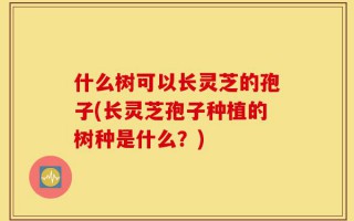 什么树可以长灵芝的孢子(长灵芝孢子种植的树种是什么？)