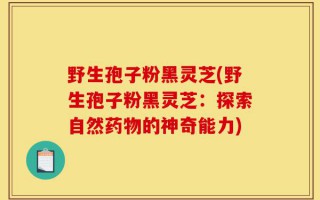 野生孢子粉黑灵芝(野生孢子粉黑灵芝：探索自然药物的神奇能力)