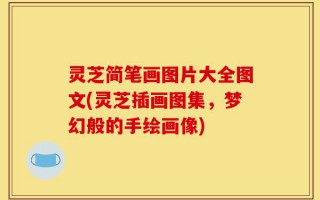 灵芝简笔画图片大全图文(灵芝插画图集，梦幻般的手绘画像)