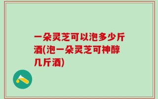 一朵灵芝可以泡多少斤酒(泡一朵灵芝可神醇几斤酒)