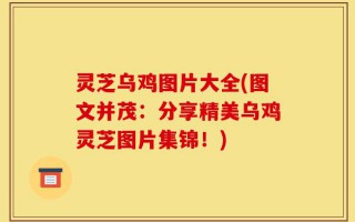 灵芝乌鸡图片大全(图文并茂：分享精美乌鸡灵芝图片集锦！)
