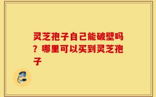 灵芝孢子自己能破壁吗？哪里可以买到灵芝孢子