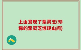 上山发现了紫灵芝(珍稀的紫灵芝惊现山间)