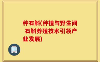 种石斛(种植与野生间 石斛养殖技术引领产业发展)