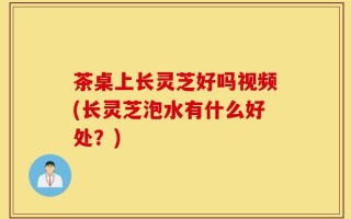 茶桌上长灵芝好吗视频(长灵芝泡水有什么好处？)