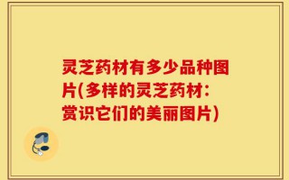 灵芝药材有多少品种图片(多样的灵芝药材：赏识它们的美丽图片)