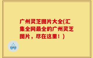 广州灵芝图片大全(汇集全网最全的广州灵芝图片，尽在这里！)