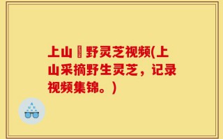 上山釆野灵芝视频(上山采摘野生灵芝，记录视频集锦。)