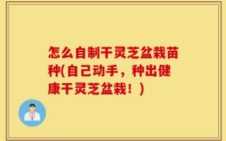 怎么自制干灵芝盆栽苗种(自己动手，种出健康干灵芝盆栽！)