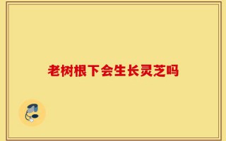 老树根下会生长灵芝吗