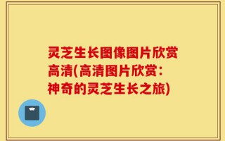 灵芝生长图像图片欣赏高清(高清图片欣赏：神奇的灵芝生长之旅)