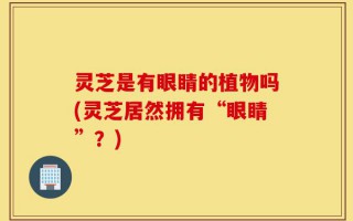 灵芝是有眼睛的植物吗(灵芝居然拥有“眼睛”？)