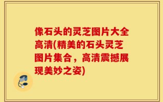 像石头的灵芝图片大全高清(精美的石头灵芝图片集合，高清震撼展现美妙之姿)