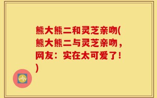 熊大熊二和灵芝亲吻(熊大熊二与灵芝亲吻，网友：实在太可爱了！)