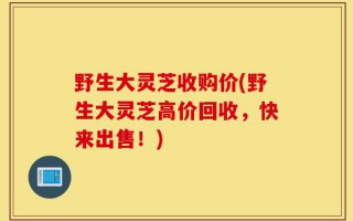 野生大灵芝收购价(野生大灵芝高价回收，快来出售！)