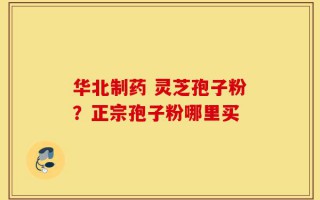 华北制药 灵芝孢子粉？正宗孢子粉哪里买