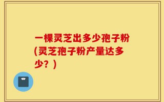 一棵灵芝出多少孢子粉(灵芝孢子粉产量达多少？)