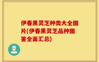 伊春黑灵芝种类大全图片(伊春黑灵芝品种图鉴全面汇总)