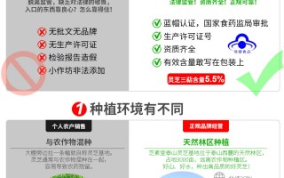 购买灵芝孢子粉正宗品牌一定不要忽视这几点