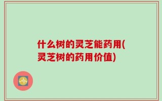 什么树的灵芝能药用(灵芝树的药用价值)