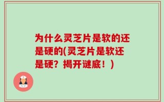 为什么灵芝片是软的还是硬的(灵芝片是软还是硬？揭开谜底！)