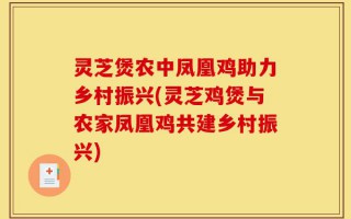 灵芝煲农中凤凰鸡助力乡村振兴(灵芝鸡煲与农家凤凰鸡共建乡村振兴)