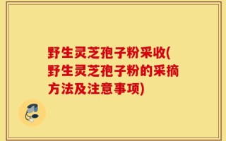 野生灵芝孢子粉采收(野生灵芝孢子粉的采摘方法及注意事项)