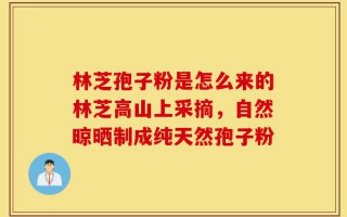 林芝孢子粉是怎么来的林芝高山上采摘，自然晾晒制成纯天然孢子粉