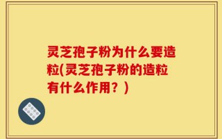 灵芝孢子粉为什么要造粒(灵芝孢子粉的造粒有什么作用？)