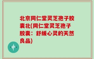 北京同仁堂灵芝孢子胶囊北(同仁堂灵芝孢子胶囊：舒缓心灵的天然良品)