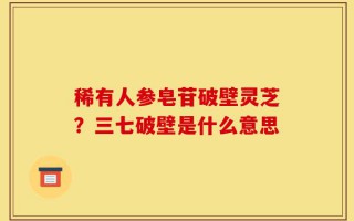 稀有人参皂苷破壁灵芝？三七破壁是什么意思