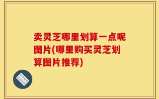 卖灵芝哪里划算一点呢图片(哪里购买灵芝划算图片推荐)
