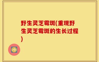 野生灵芝霉斑(重现野生灵芝霉斑的生长过程)