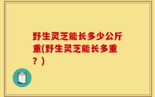 野生灵芝能长多少公斤重(野生灵芝能长多重？)