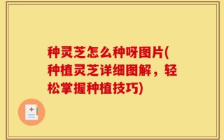 种灵芝怎么种呀图片(种植灵芝详细图解，轻松掌握种植技巧)