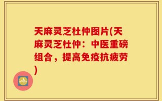 天麻灵芝杜仲图片(天麻灵芝杜仲：中医重磅组合，提高免疫抗疲劳)