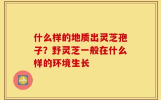 什么样的地质出灵芝孢子？野灵芝一般在什么样的环境生长