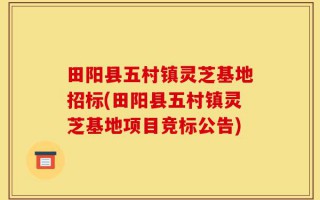 田阳县五村镇灵芝基地招标(田阳县五村镇灵芝基地项目竞标公告)