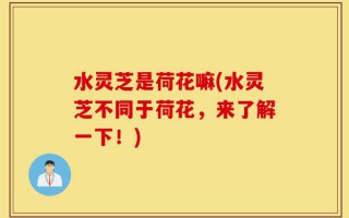水灵芝是荷花嘛(水灵芝不同于荷花，来了解一下！)