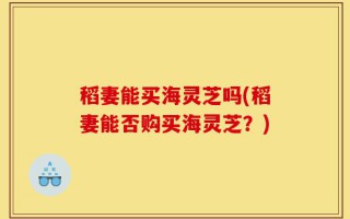 稻妻能买海灵芝吗(稻妻能否购买海灵芝？)