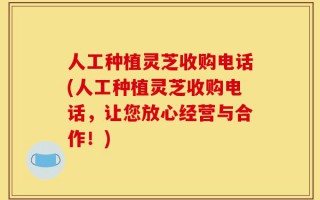 人工种植灵芝收购电话(人工种植灵芝收购电话，让您放心经营与合作！)