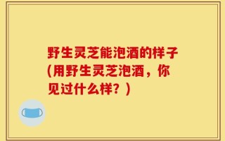 野生灵芝能泡酒的样子(用野生灵芝泡酒，你见过什么样？)