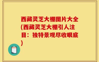 西藏灵芝大棚图片大全(西藏灵芝大棚引人注目：独特景观尽收眼底)