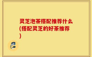 灵芝泡茶搭配推荐什么(搭配灵芝的好茶推荐)