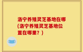 洛宁养殖灵芝基地在哪(洛宁养殖灵芝基地位置在哪里？)