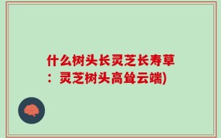 什么树头长灵芝长寿草：灵芝树头高耸云端)
