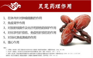 灵芝孢子粉真有那么好吗？灵芝孢子粉的功效有哪些