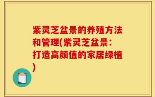 紫灵芝盆景的养殖方法和管理(紫灵芝盆景：打造高颜值的家居绿植)