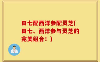 田七配西洋参配灵芝(田七、西洋参与灵芝的完美组合！)
